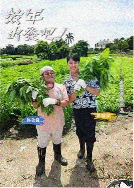 周末不打烊 热门综艺免费在线观看